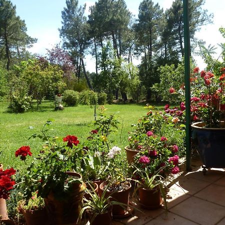 הוילה Ailhon Domaine Du Planas - Patio מראה חיצוני תמונה